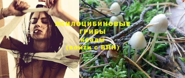 бошки Абдулино
