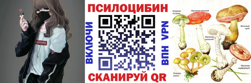 Псилоцибиновые грибы Psilocybe купить наркоту Тетюши