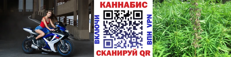Марихуана сатива MEGA сайт Тетюши
